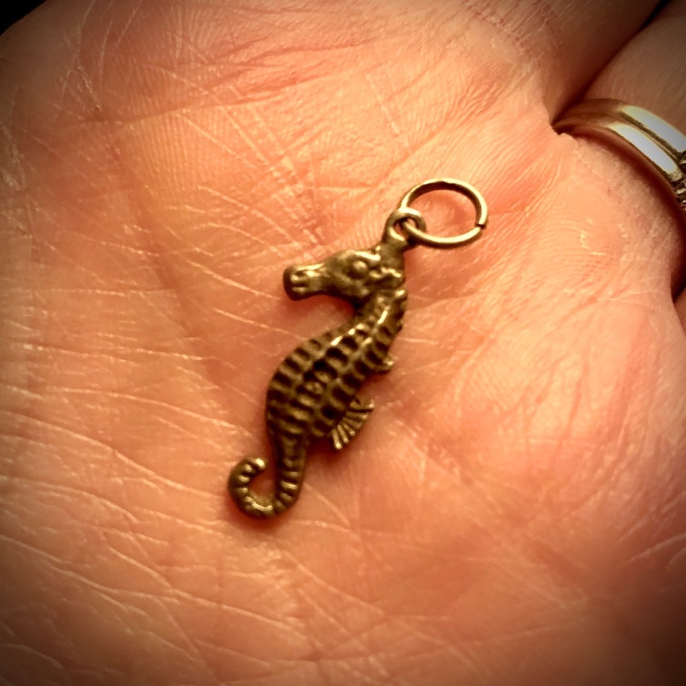 Seahorse charm